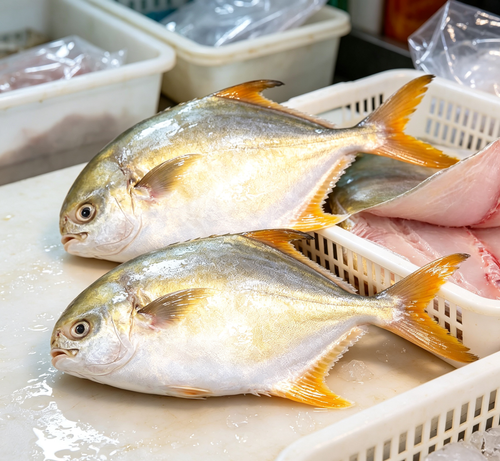 Fresh Fish